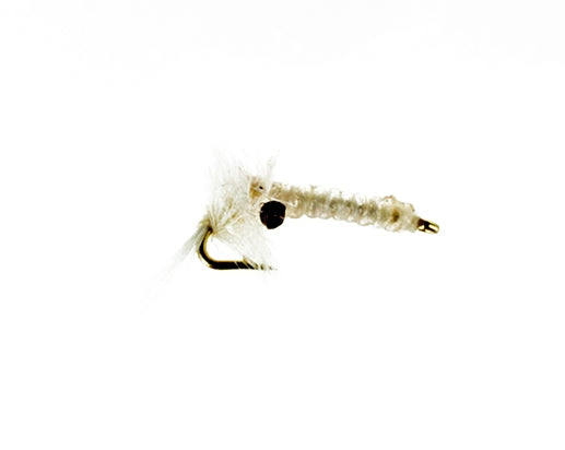 Mysis Shrimp, Ostrich