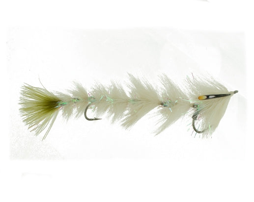 Name-changer-feathered-olive-and-white