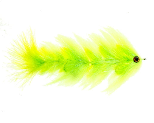Name-Changer-Polar-Chartreuse