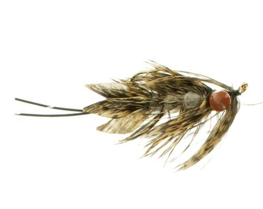 Near Nuff Crawfish, Rust Carp