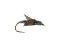 No Hackle, Gray