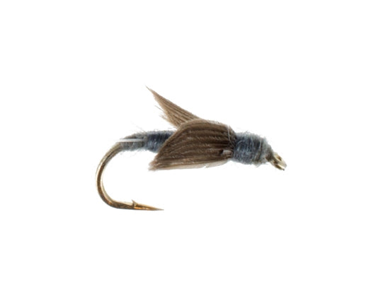 No Hackle, Gray