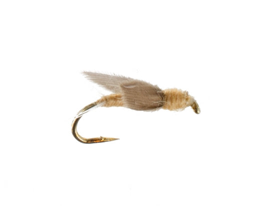 No Hackle, Tan