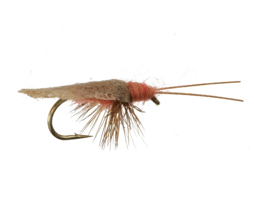 Octomber Caddis