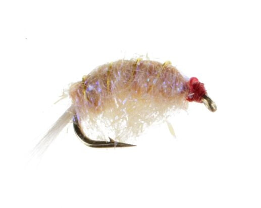 Original Bighorn Scud, Tan