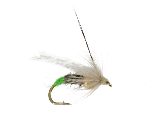 Ovulating Caddis, Light