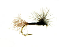 Parachute Sparkle Dun, Black