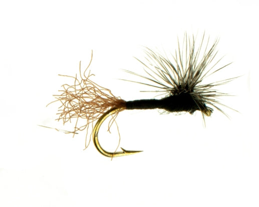 Parachute Sparkle Dun, Black