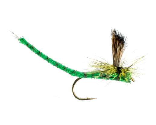 Paradrake, Green