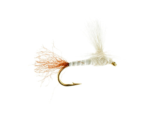 Paraquad, Cream