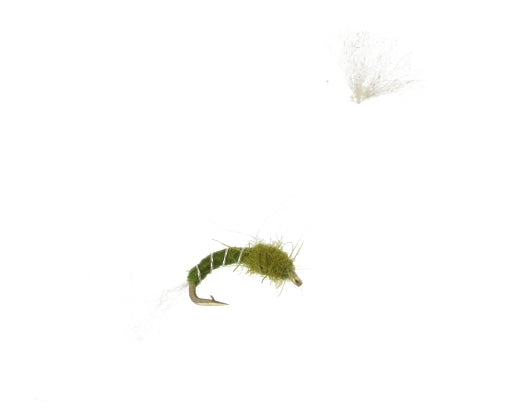 Parasol Midge, Olive