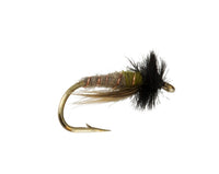 Peeking Caddis