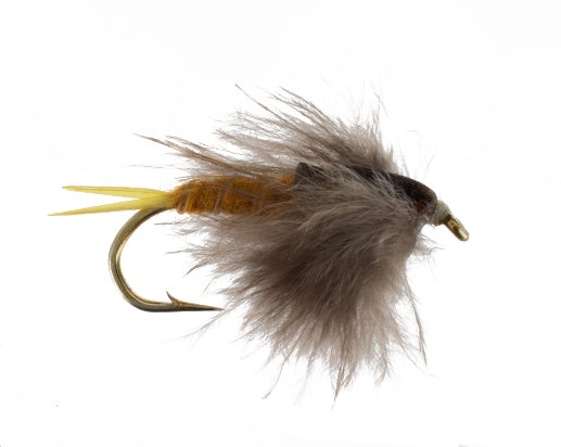 Perla Stonefly