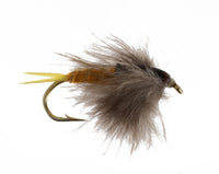 Perla Stonefly