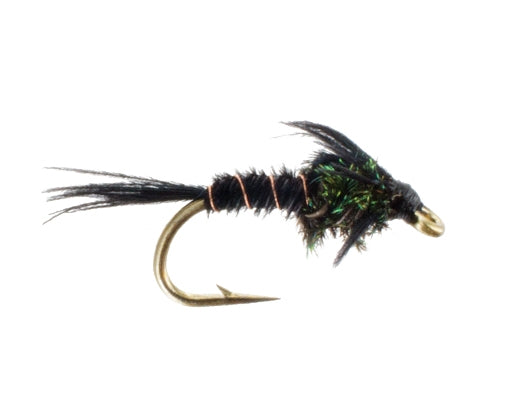 Pheasant Tail, Black