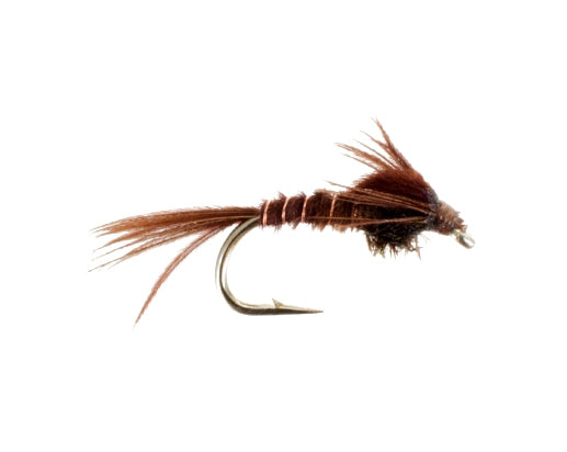 Pheasant Tail
