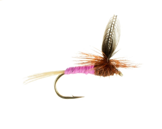 Pink Albert, Parachute