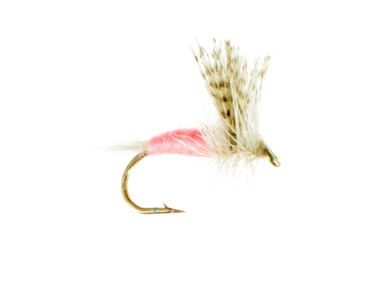 Pink Cahill