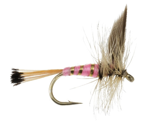 Pink Lady fly fishing fly