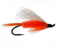 Polar Shrimp
