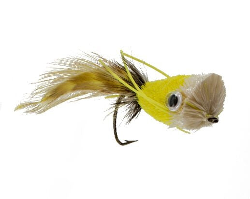 Popper, Canary