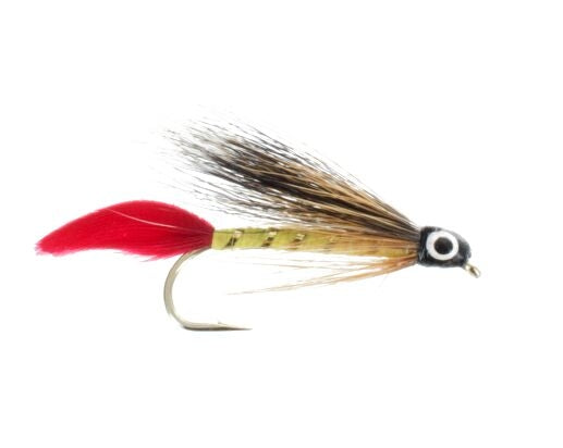 Professor Bucktail
