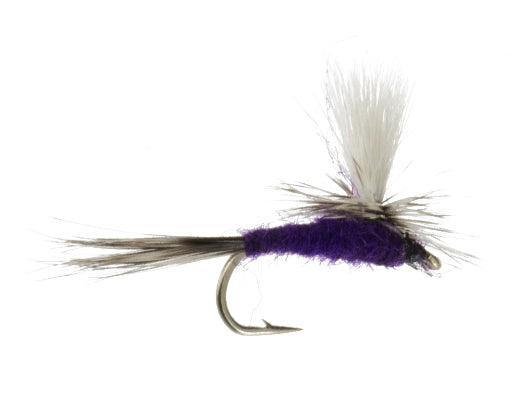 Purple Haze Fly Pattern, Purple Haze Dry Fly & Trout Fly