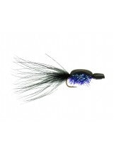 pyramid-beetle-black-purple