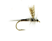 Quill Gordon