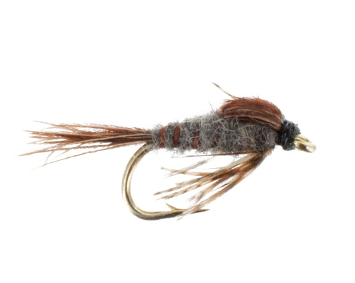 Quill Gordon Nymph
