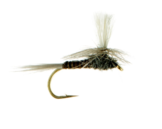 Quill Gordon, Parachute