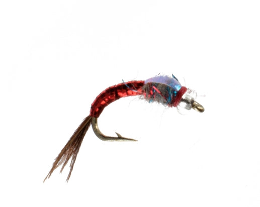 Rainbow Warrior, Red