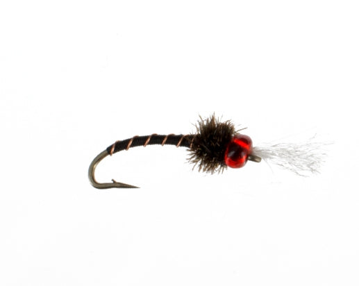 Raja Midge