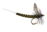 Real Fly Adams