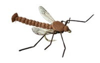Real Fly Cranefly