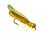 Real Fly Golden Stone