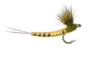 Real Fly Hex