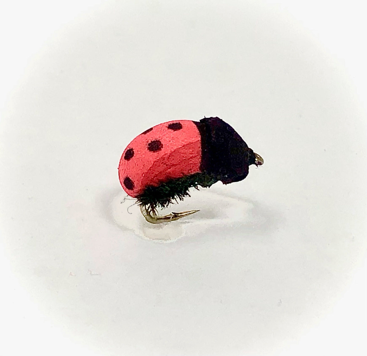 Real Fly Ladybug