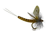 Real Fly Pale Morning Dun