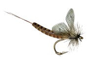 Real Fly Quill Gordon