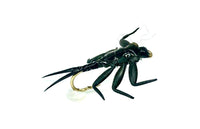 Real Fly Mayfly Nymph, Black