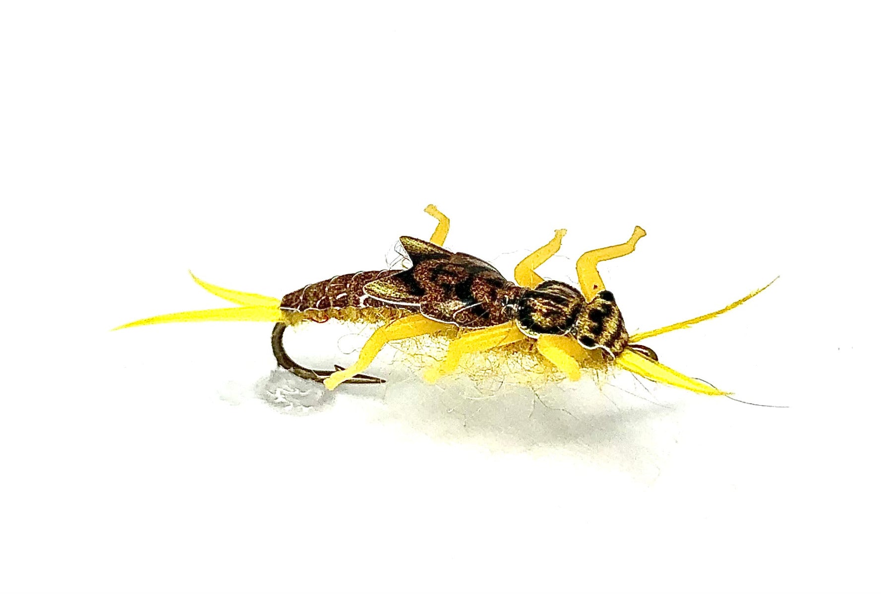 Real Fly Stonefly Nymph, Golden