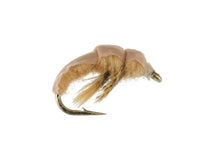 Realistic Caddis, Tan