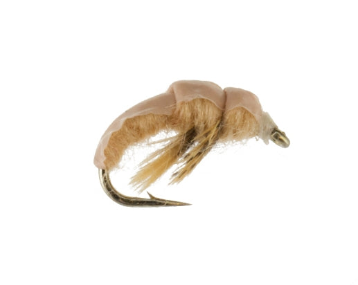 Realistic Caddis, Tan