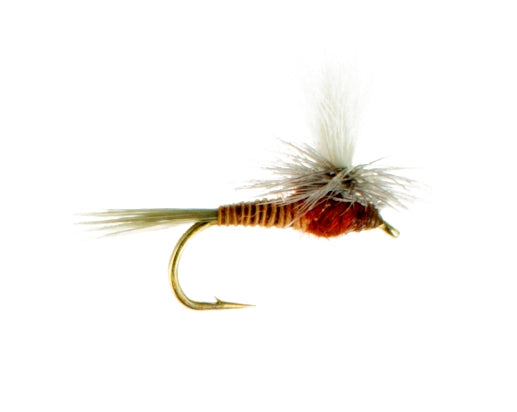 Red Quill, Parachute