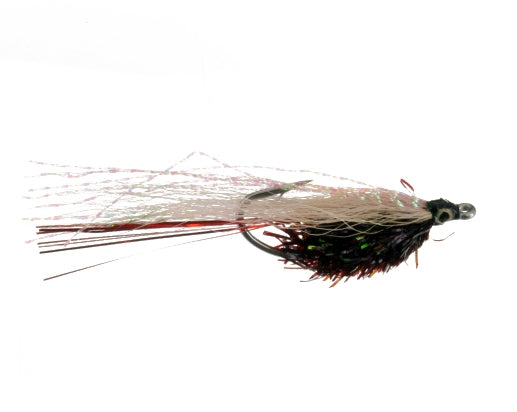 Redfish Minnow, Black and White