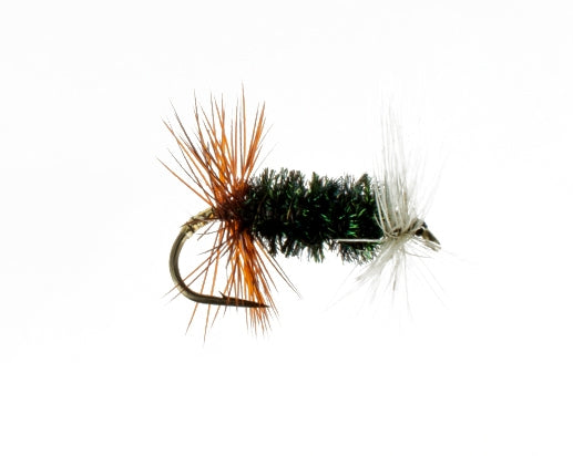 Renegade Nymph