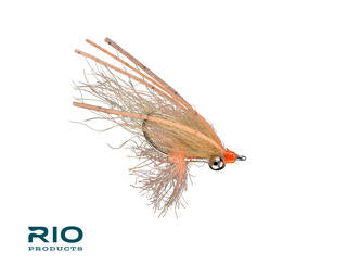Rio Arctic Bone Spawning Shrimp