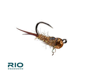 Rio Bug Nugget, Brown