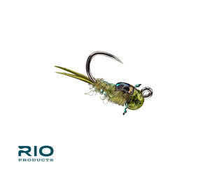 Rio Bug Nugget, Olive
